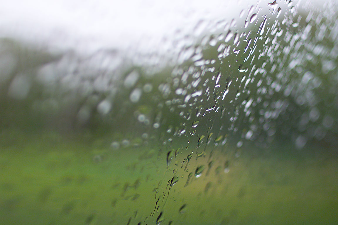 Rainy Window
